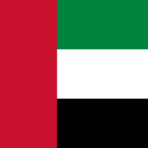 Dubai UAE flag